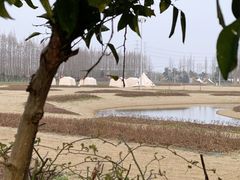 -上海长兴岛郊野公园