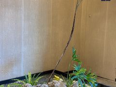 -奈雪茶院·茶室茶馆(广州粤海天地店)
