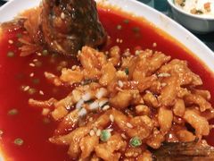 -紫光园·烤鸭·北京菜(劲松店)