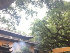 -普陀山风景名胜区-法雨禅寺