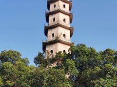 -江心屿景区