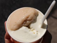 -Dip in Gelato(富民路店)