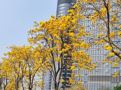 -洲头咀公园