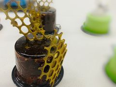 -威利旺卡烘焙西点蛋糕培训(朝阳校区)