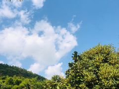 -九龙潭景区