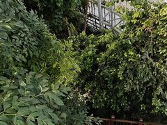 -郑州植物园