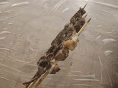 -南园路·韦四烧烤(南园路店)