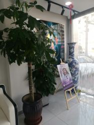 -天津健丽·去眼袋医疗美容机构