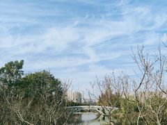 -桃花岛公园