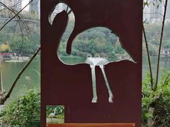 -重庆彩云湖湿地公园