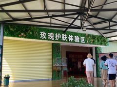 -亚龙湾国际玫瑰谷