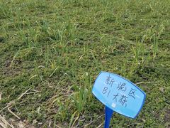 -八卦田遗址公园