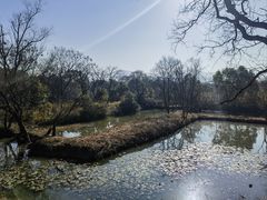 -西溪国家湿地公园