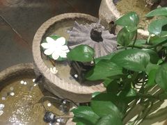 -茶花妹子云南餐厅(传媒大学店)