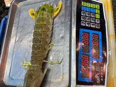 -吴记富苑(朝阳店)