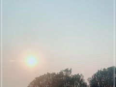 -杭州湾海上花田景区
