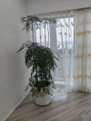 -HEYAN荷妍专业脱毛连锁机构