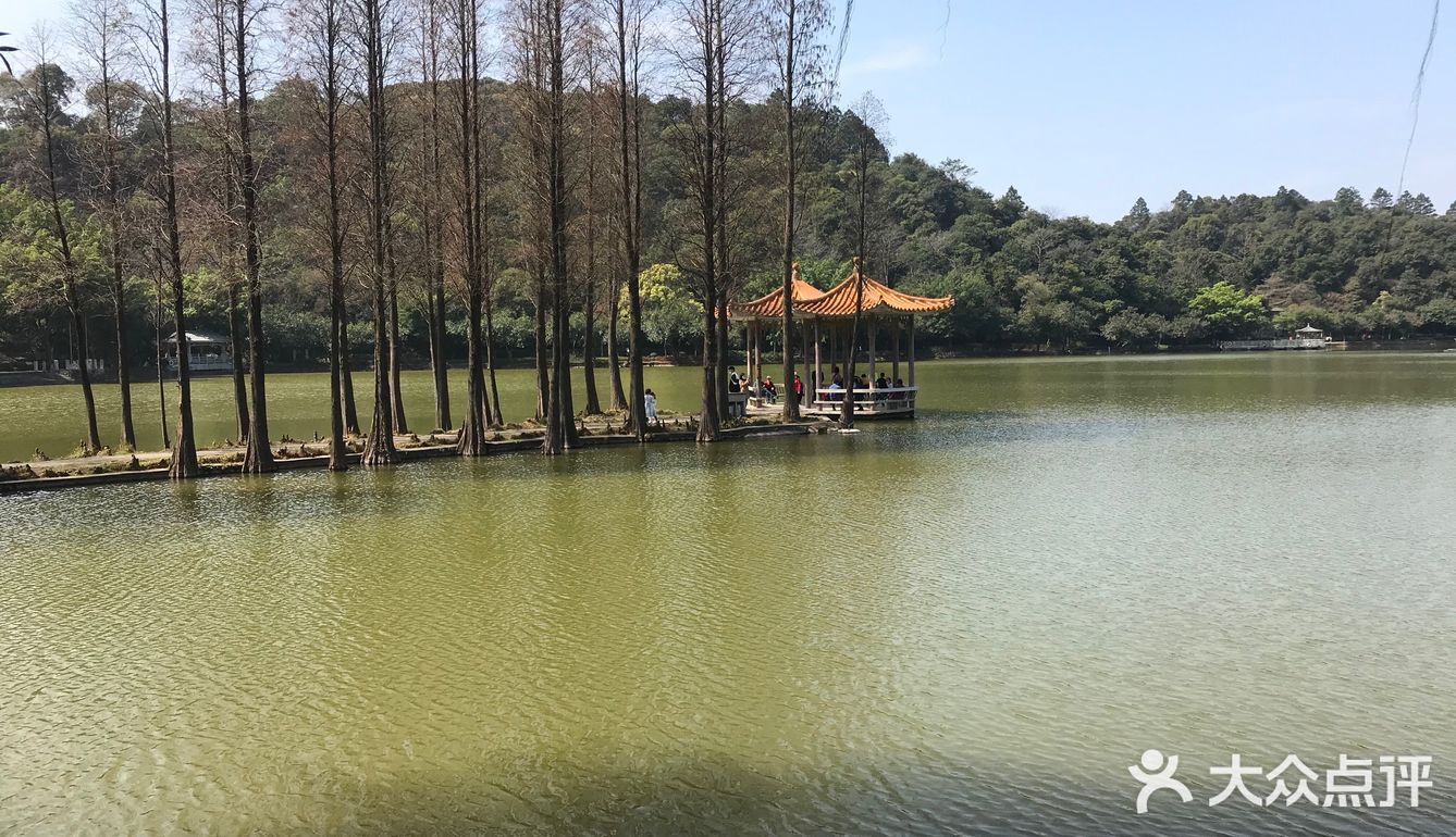 年初二与父母游西樵山