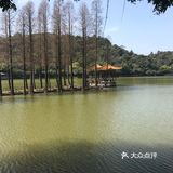 年初二与父母游西樵山