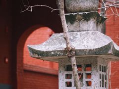 -洛阳白马寺