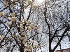 -丰台花园