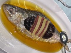 古法蒸鲥鱼-张生记(丁香国际店)