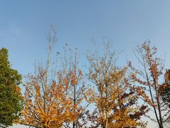 -盘龙城国家考古遗址公园