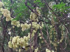 -白水带风景区体育公园