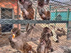 -水上乐园·欢乐世界