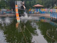 -北京鹿世界主题园