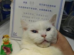 -芭比堂动物医院·心脏专科·夜诊·吉雅分院