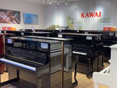 -柏斯音乐艺术中心·钢琴·吉他(世纪金源店)