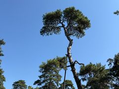 -沈阳市东陵公园