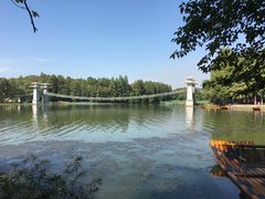 -东湖落雁景区