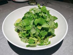 荆芥-解家河南菜(商鼎路店)