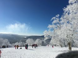 -大秃顶子山