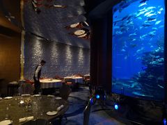 -迪拜帆船酒店海底餐厅
