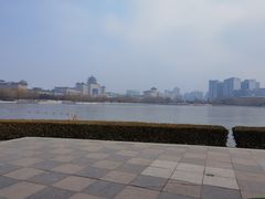 -莲花池公园