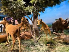 -国家自然博物馆