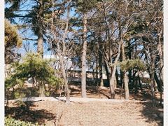 -观象山公园