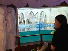 -太平洋海底世界