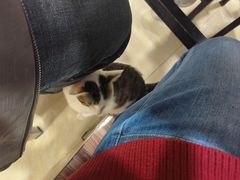 -玉椰林甜品店(创始店)