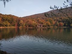 -紫霞湖公园