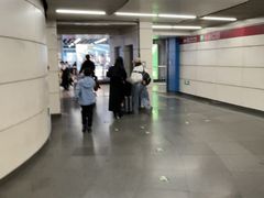 -大望路(地铁站)