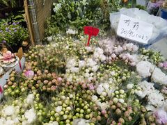 -循礼门鲜花花市(武汉循礼门店)