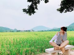 -艾米稻香小镇