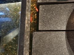 -颐和•海鲜砂锅粥•啫啫煲(奥林匹克广场店)