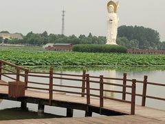 -白洋淀景区