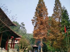 -都江堰普照寺