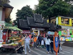 -纳兰傣雀傣味餐厅